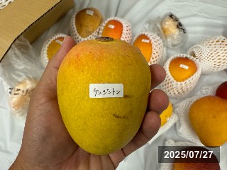 ケンジントン