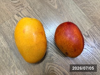 ナツユキ　夏雪