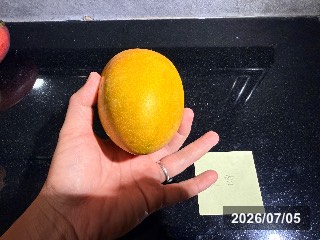 ナツユキ　夏雪