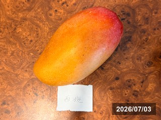 台南 玉井の市場で購入