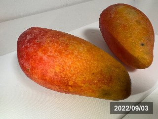 シースー　西施