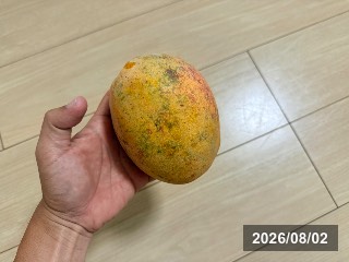 リペンス