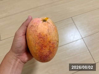 リペンス