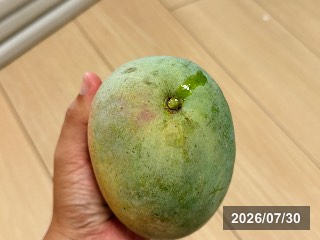 硬い状態のリペンス