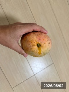 リペンス