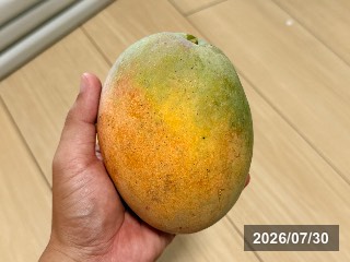 硬い状態のリペンス
