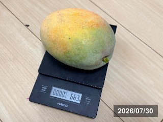 664g