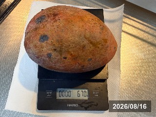 タイノウニゴウ 台農2号