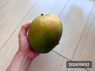 ゴウベイア