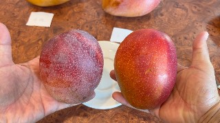 左：蘋果文，右：アーウィン 比較