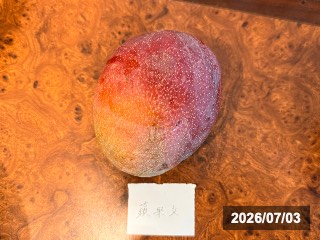 果実，台湾で購入