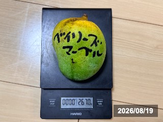 ベイリーズ マーベル