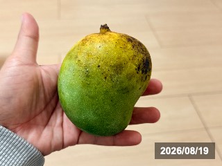 ベイリーズ マーベル