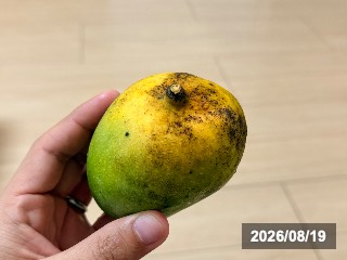 ベイリーズ マーベル