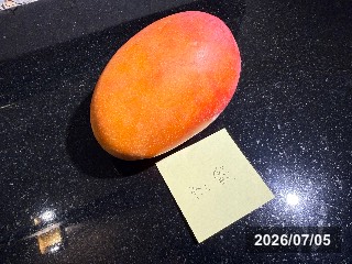 台南玉井の市場で購入