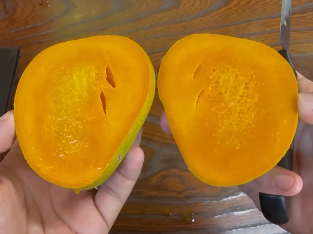 アルフォンソ