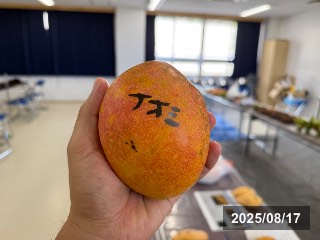 ナオミ