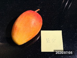 玉井の市場で購入