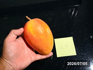 玉井の市場で購入