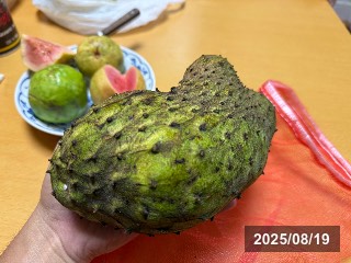 トゲバンレイシ
