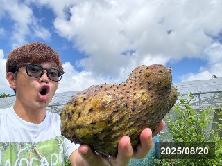 トゲバンレイシ