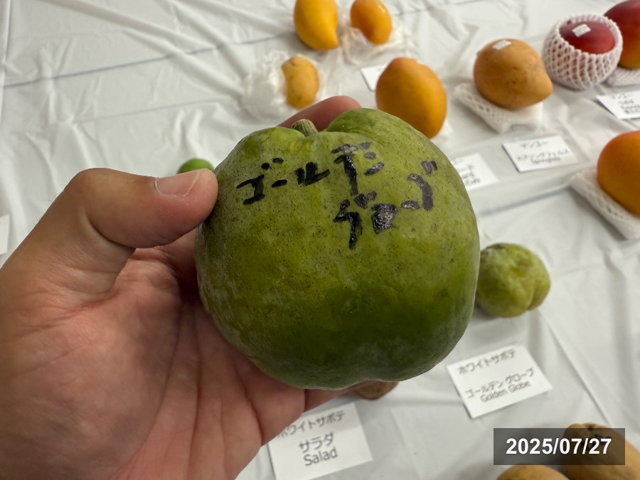 ゴールデングローブ