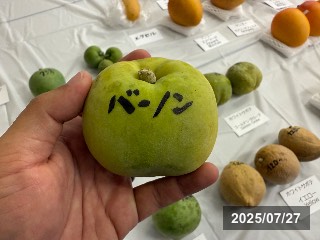 バーノン