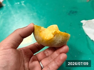 皮ごと食べれる