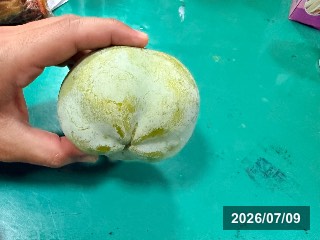 マクディール