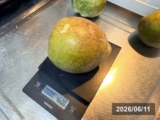 フロリダ