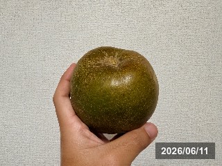 フロリダ