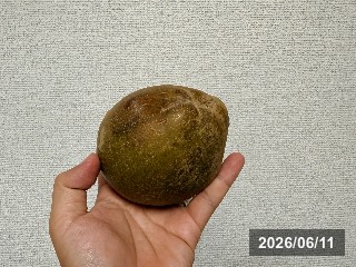 フロリダ