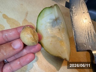 フロリダ