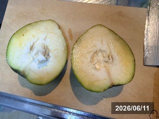 フロリダ