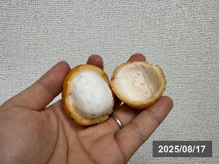 アチャチャイル