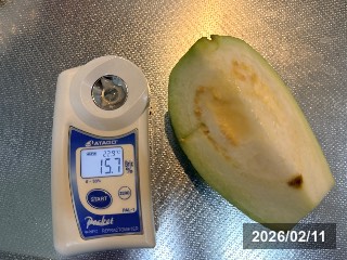 ゆんさん梨グァバの糖度