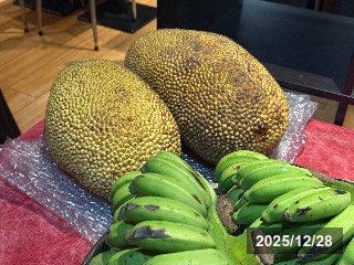 パラミツ
