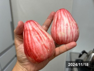 マレーフトモモ