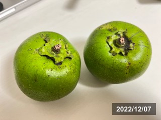 ブラックサポテ