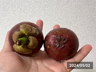 マンゴスチン
