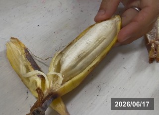 ロイヤルスイートバナナ