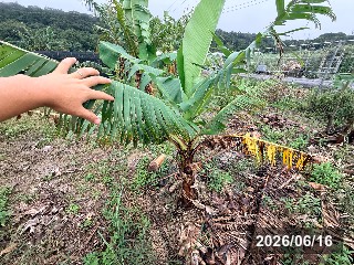ボリビア