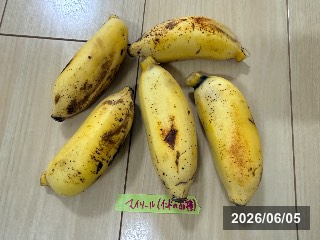 ネックが少し弱いので，果指を一つずつ切り分けると良い．