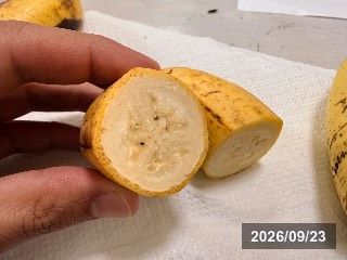 島バナナ