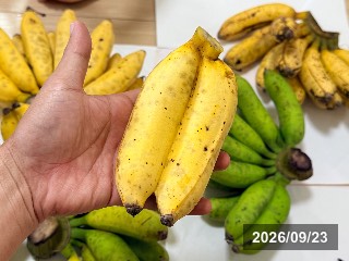島バナナ