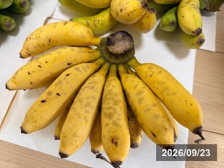 島バナナ