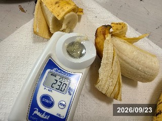23度