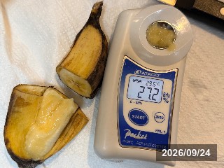 27.2%