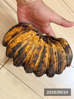 合掌バナナ