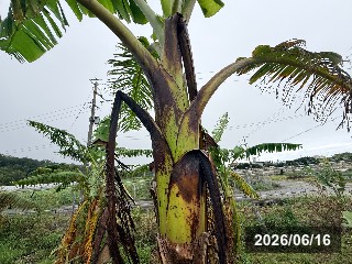 ナムワダム